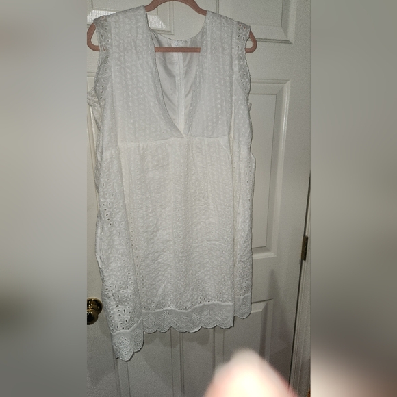 Dresses & Skirts - BEAUTIFUL EYELIT DRESS !!